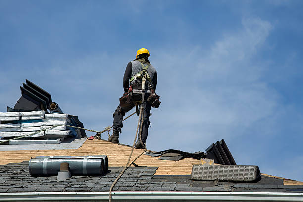 Professional Roofing technician working in Hamburg, IA